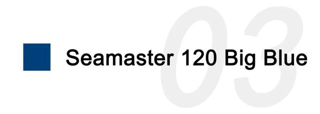 广州欧米茄海马300价格表(日本欧米茄海马300价格及图片大全)  第8张