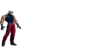 拳皇98卢卡尔出招列表(拳皇95卢卡尔连招教学) 第17张